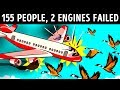 Birds Ruined the Engines But the Plane Couldn't Come Back to the Airport