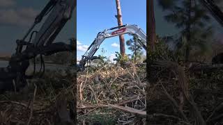Central Florida Tree and Landscape, LLC  1 (863) 837-0530