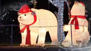 Katy Youth Choir Christmas Concert 2015 - FOX 26 Clip 1