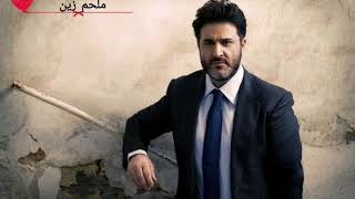 ملحم زين عاود