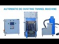Automatic De-Dusting Tunnel with Brushing System | Pharma Cleaning Solution by Chemietron
