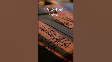 أواخر سورة البقرة ماهر المعيقلي #اكسبلور #القرآن_الكريم #love #duet #جمعة_مباركة