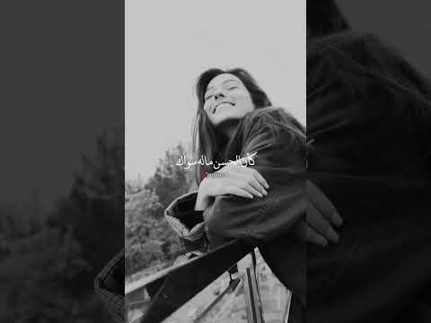 ماجد المهندس امانه