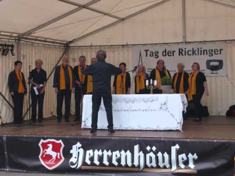 14. Tag der Ricklinger 2011