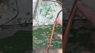 Best way to remove old paint from a Jon boat?  Bower surface conditioning tool vs angle grinder!