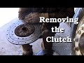 Clutch Job ~ Part 1