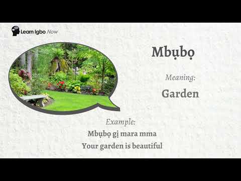 How to pronounce Mbubo - Garden | Igbo language