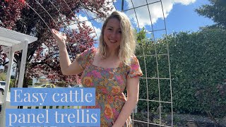 Cattle panel trellis and weekly catchup