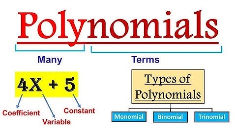what is polynomial? | Types of polynomial Definitions | Linear , Quadratic and cubic