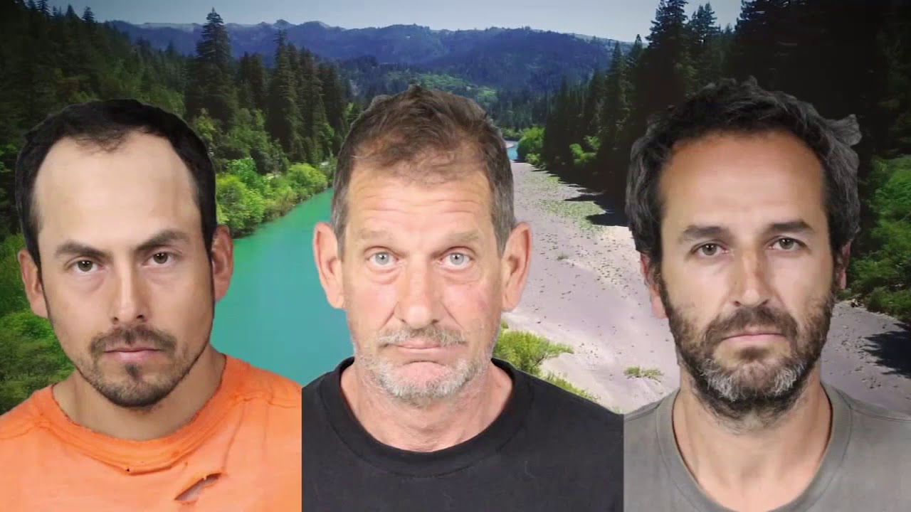 Illegal pot farms in Northern California's Emerald Triangle facing raids