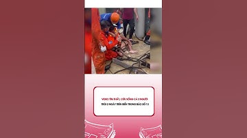 Video tìm thấy, cứu sống cả 3 người trôi 2 ngày trên biển trong bão số 13