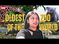 Exploring Vienna Zoo 🇦🇹 | Oldest Zoo in the World | Ticket Price &amp; What to Expect | Vienna Vlog