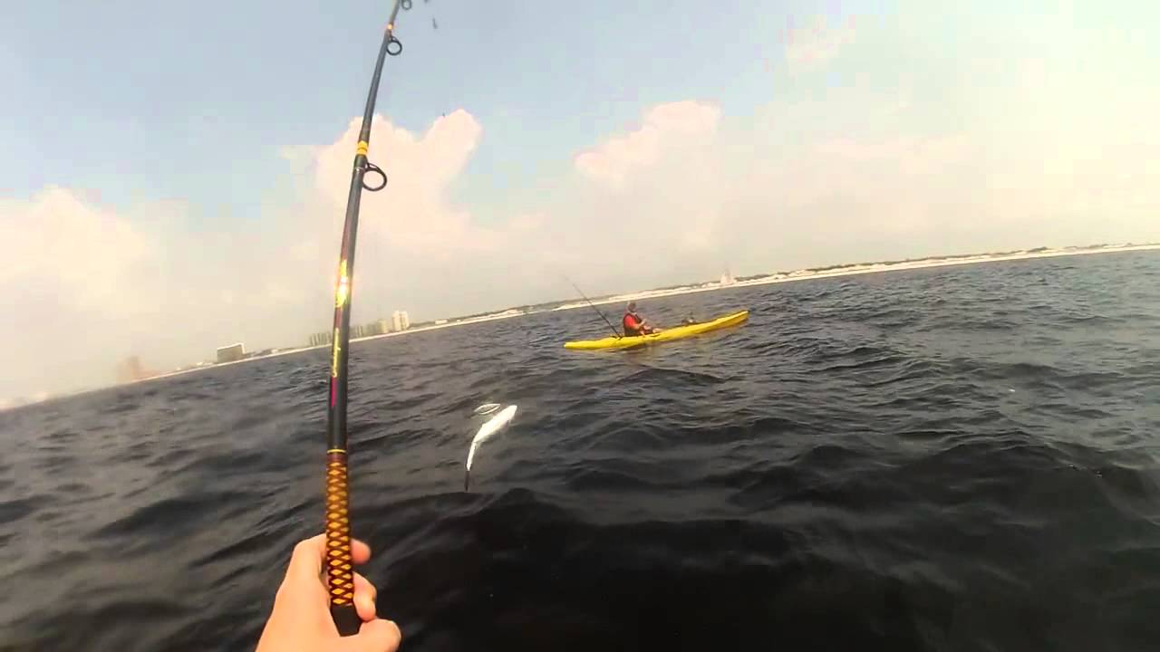 Kayak Fishing Gulf Coast Hard Tail YouTube