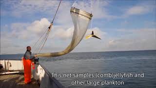Plankton sampling with RV Luctor in Zeeland, Netherlands