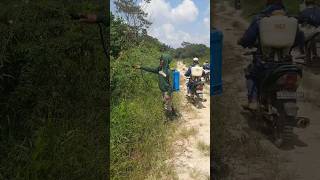 racun rumput yang paling ampuh