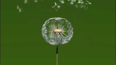 Creativebloke Dandelion Modo 401 WIP 2