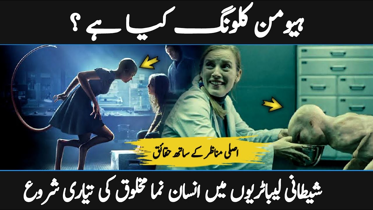what is Human CLONING? Cloning Explained in Urdu Hindi کلوننگ YouTube