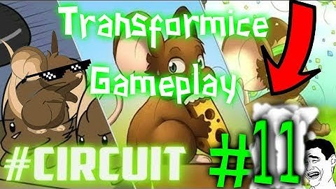 Transformice | Gameplay Circuit #11