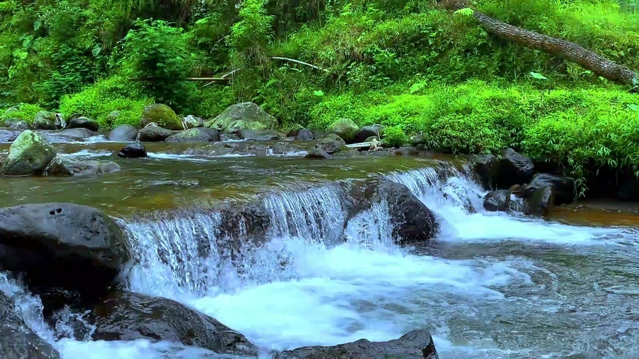 Relaxing River Stream to Block Out Distractions | Gentle Water Sounds ...