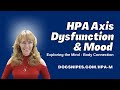 HPA Axis Dysfunction & Mood | Exploring the Mind Body Connection