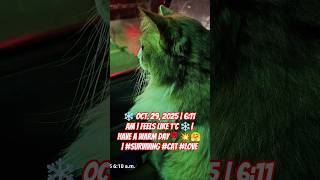 Oct. 29, 2025 611 Am Feels Like 1C Have A Warm Day