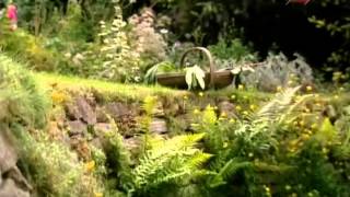 видео: Английские сады 02 картинка: Английские сады 02