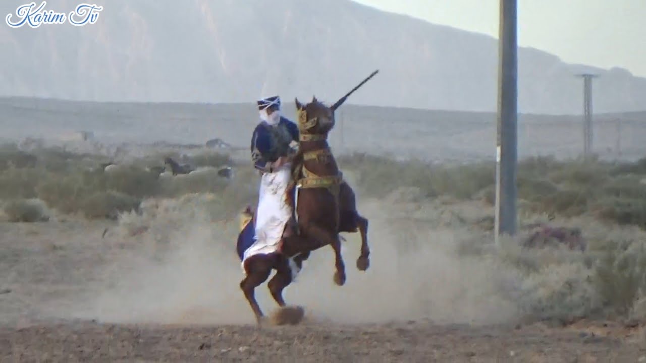 عرس عنتر هامل V05فرسان بئرالعاتر ومرسط وبئرالمقدم وحمامات 