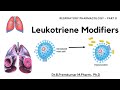 Leukotriene modifiers  respiratory pharmacology  part 8