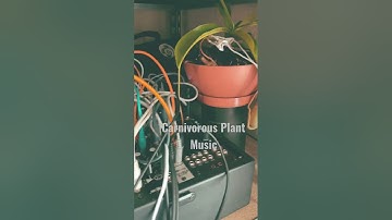 Pitcher plant is getting funky with some biodata sonification