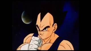 Vegeta vs Pikkon