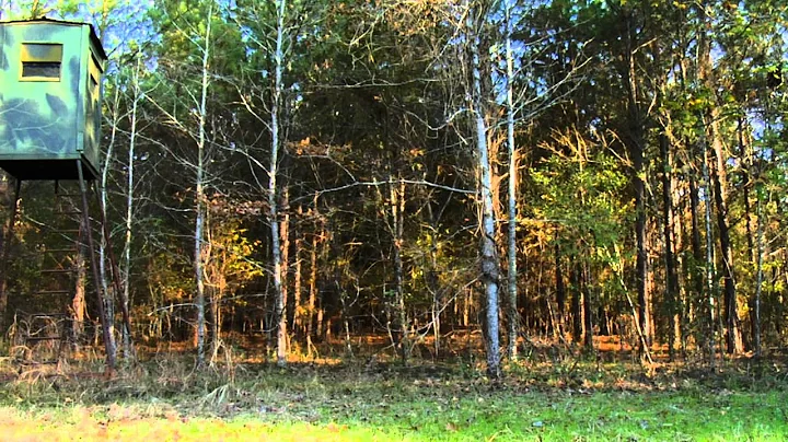 Deer Management Raymond Vaughn