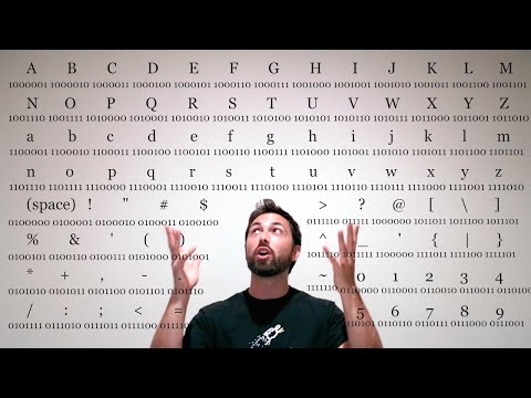 Сколько в нас информации? [Veritasium]