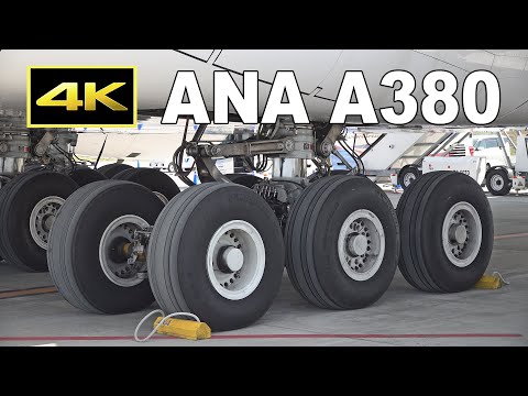 4K] ANA Airbus A380 - How many wheels? / ANAのA380 フライングホヌ