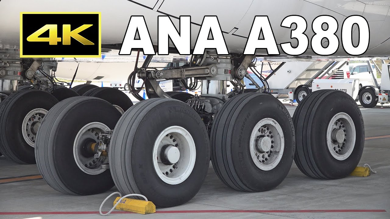 4K] ANA Airbus A380 - How many wheels? / ANAのA380 フライングホヌ