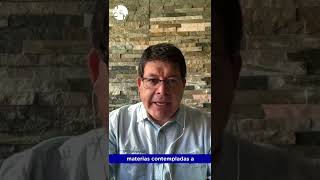 ¿Quieres ser Contador Auditor? Este es el campo laboral de la disciplina.