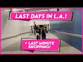 LAST DAYS IN LA! | Small Laude