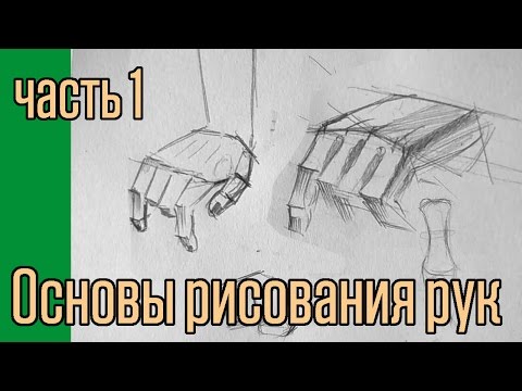 Основы рисования рук. часть 1.