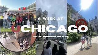 A WEEK IN CHICAGO uchicago