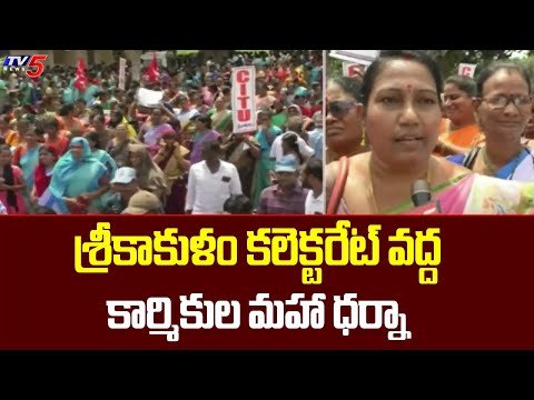 Contract Workers Maha Dharna at Srikakulam Collectorate | Minimum Wage to Workers | TV5 News Digital - TV5NEWS