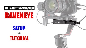 DJI Raveneye Video Image Transmitter Setup + Tutorial [ Gimbal Control ] RS 2, RSC 2, RS 3, RS 3 Pro
