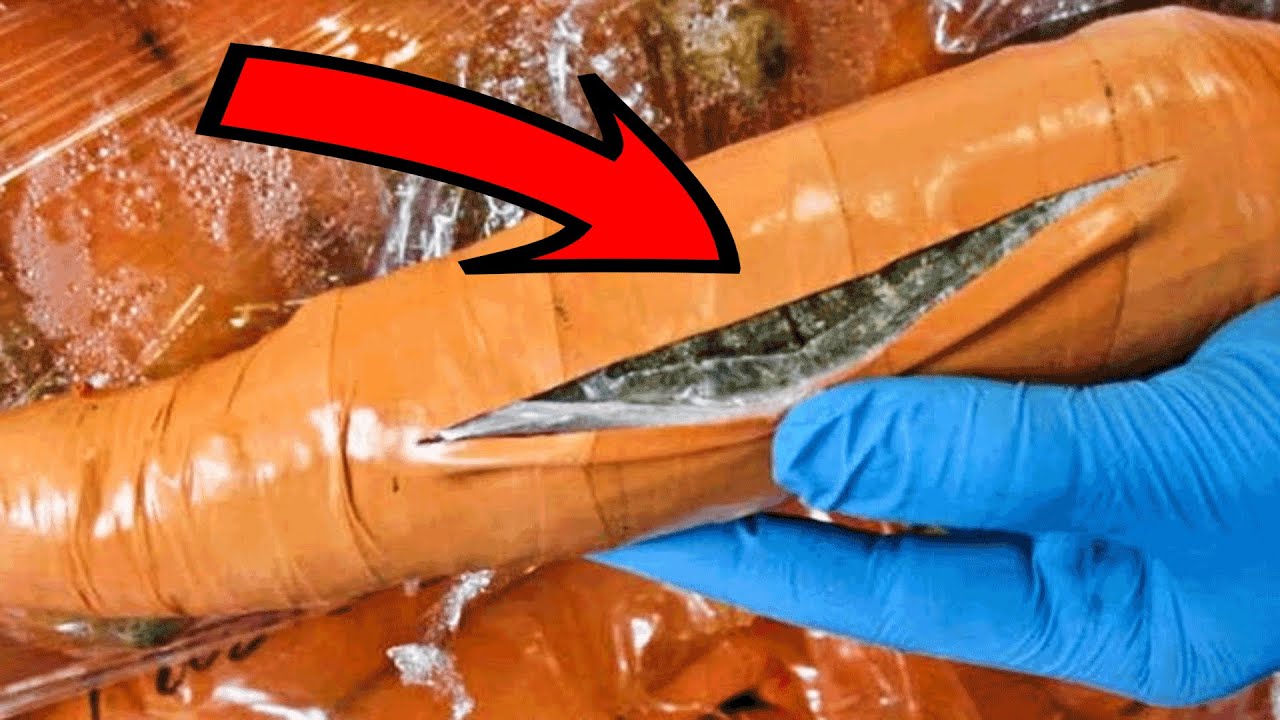 A Man Goes On Dark Web Treasure Hunt, Turns Himself In Because Of What He Found