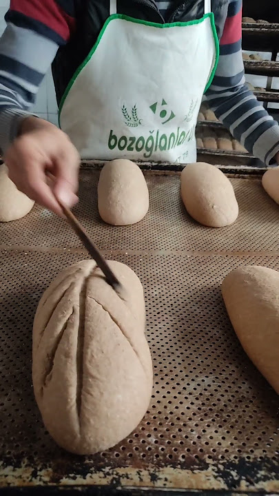 Easy Dough Preparation Techniques in a Bakery