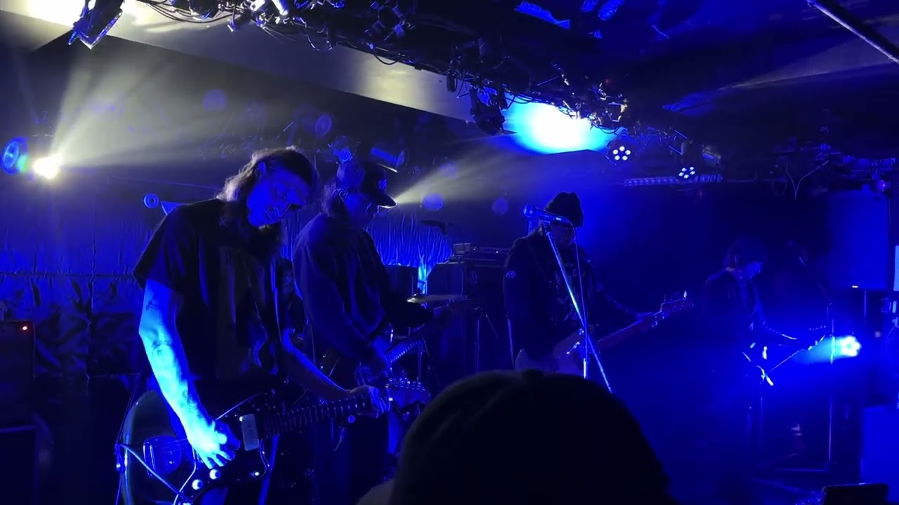 whirr// vividly (live) in japan