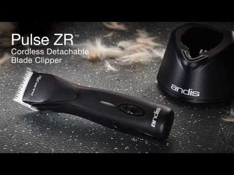 andis clippers pulse zr