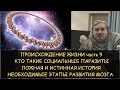 Н.Левашов: Происхождение жизни 9 из 9. Кто такие социальные паразиты. Ложная история. Развитие мозга