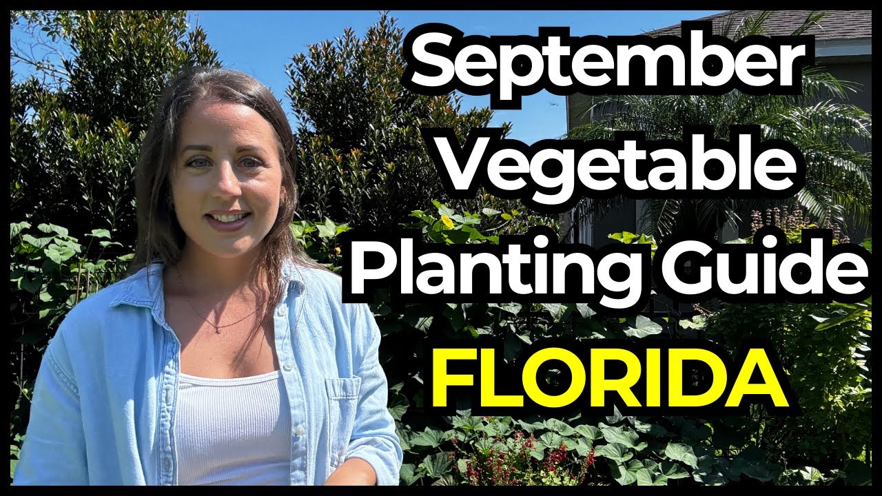 37 Crops Every Florida Gardener Needs to Plant in September | Now with Herbs & Flowers Too!