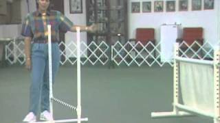 Competitive Obedience with AnneMarie Silverton- Problem Solving in Open