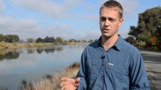 Corps levee inspections