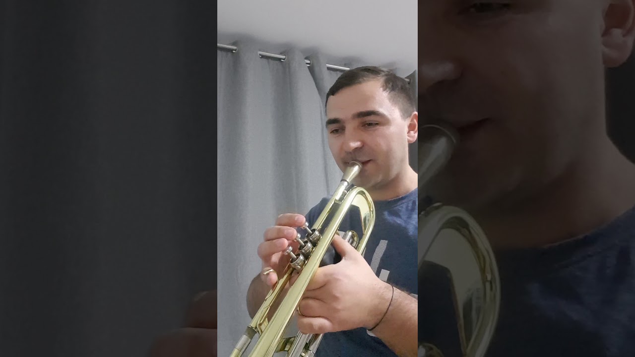 Tutorial Hora lui E. Croitor, sau a lui V.Hanganu.