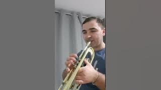 Tutorial Hora lui E. Croitor, sau a lui V.Hanganu.